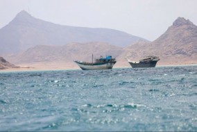 تراجع حركة السفن عبر مضيق باب المندب