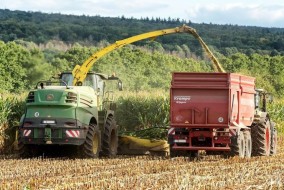 وفرة المحاصيل تهبط بأسعار الحبوب