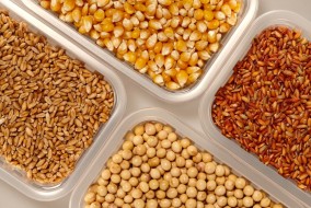 ارتفاع أسعار الحبوب بسبب تقدم في اتفاقية تجارية بين أمريكا والصين