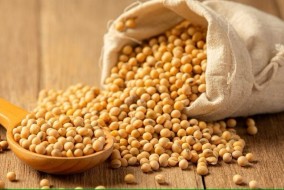 أسعار القمح ترتفع والذرة وفول الصويا تتراجع