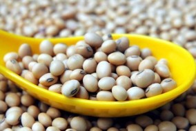 أسعار الحبوب تعزز مكاسبها