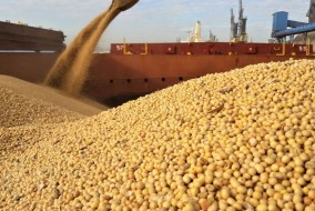 التفاؤل باتفاقات التجارة يرفع سعر الحبوب