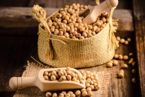 أسعار القمح وفول الصويا تتراجع والذرة ترتفع