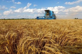 ارتفاع أسعار تصدير القمح الروسي